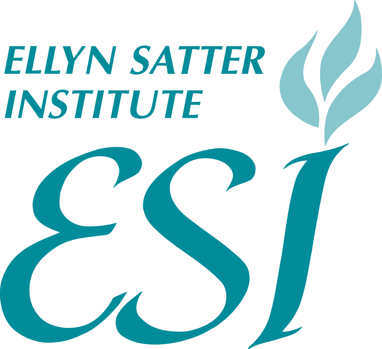 Evaluation Rubric ecSatter image