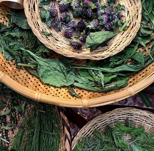 Indigenous Foodscapes image